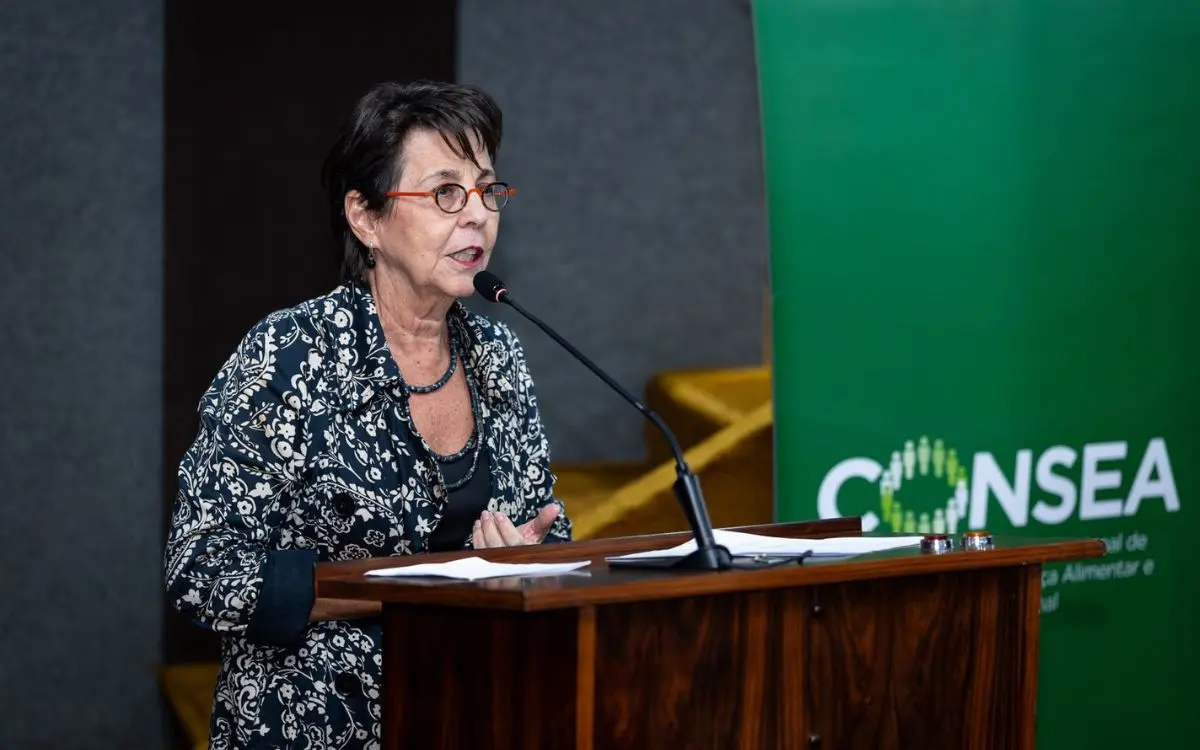 A diretora Socioambiental do BNDES, Tereza Campello, destacou o caráter contínuo da política. Foto: Lucas Ribeiro/BNDES