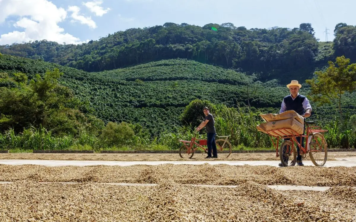 Exposição BRASIS Cafés estreia em Venda Nova