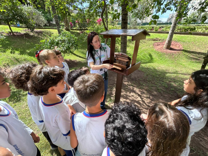 Parque Municipal da Fazendinha: refúgio verde em meio à capital capixaba