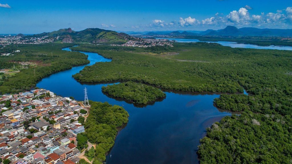 Ilha do Lameirão preserva o maior manguezal de Vitória