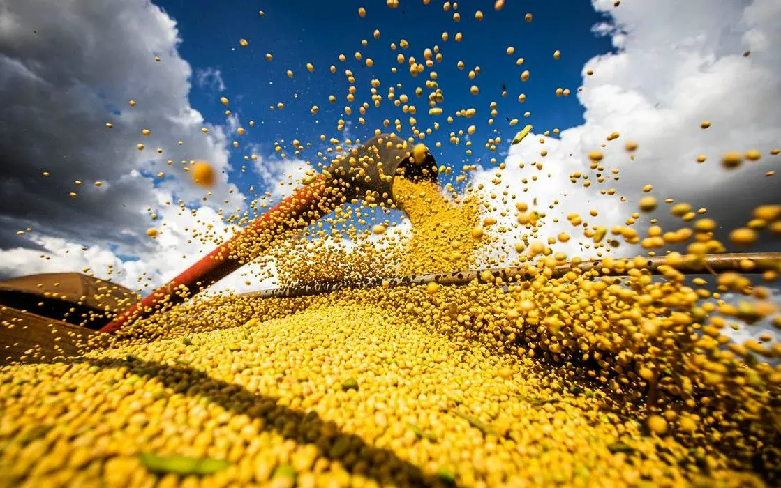 Startups capixabas do agronegócio participarão de missão na Itália para capacitação.