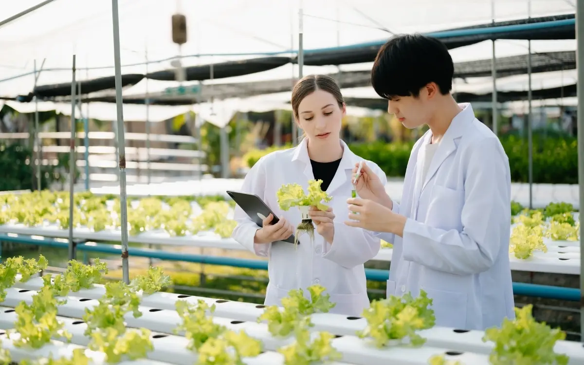 Startups capixabas participam de missão na Itália para internacionalização no agronegócio.