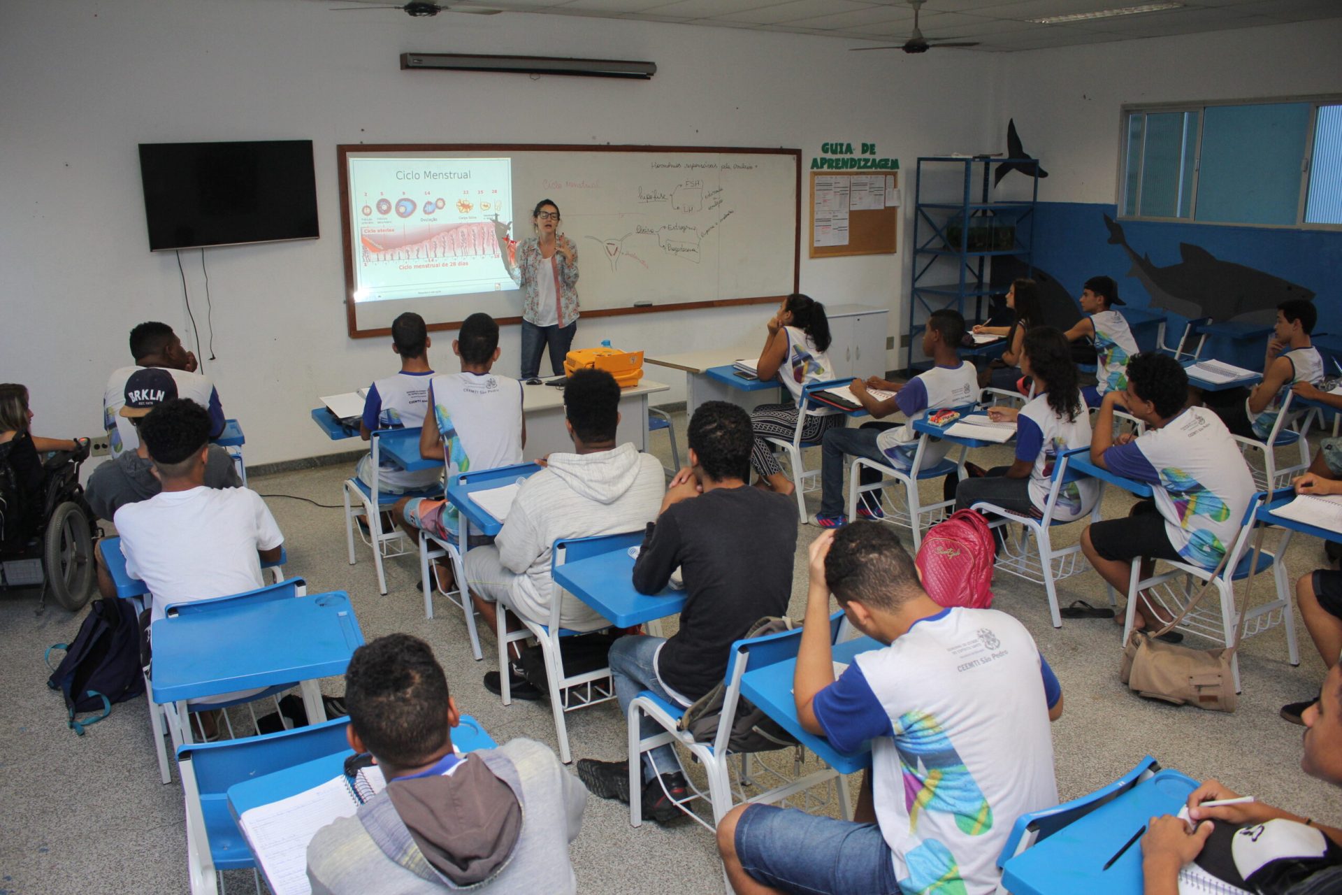 Porcentagem de analfabetos no Brasil cai para 4,9% segundo PNAD Educação.