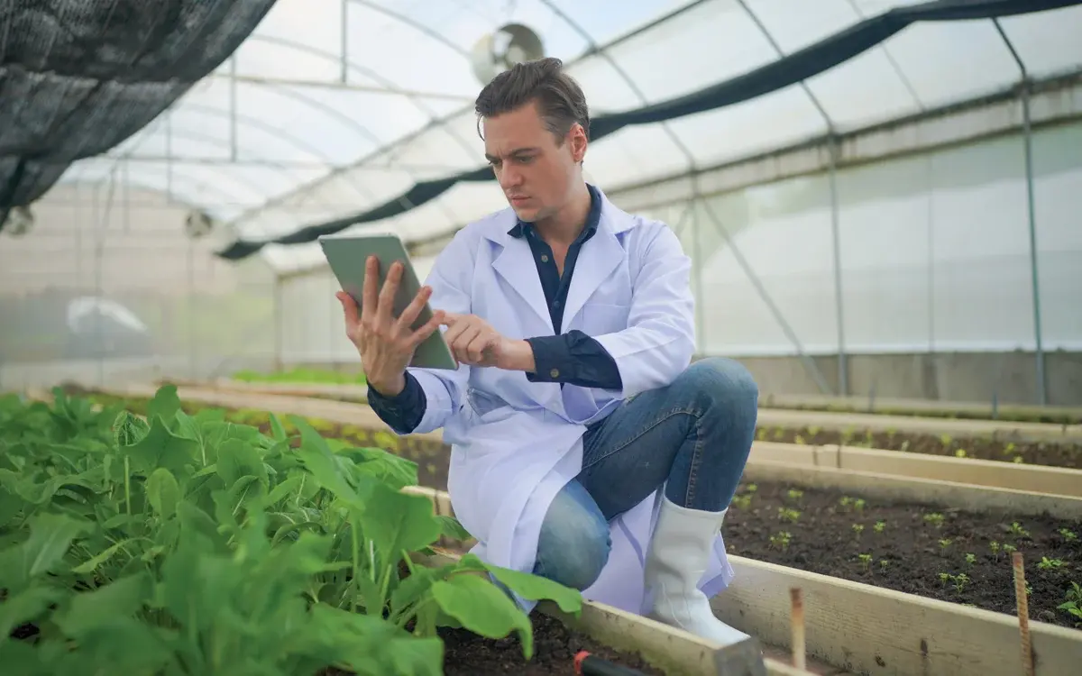 Em 2023, o agronegócio capixaba atingiu a marca de R$ 10 bilhões comercializados. A previsão é que esse valor bruto tenha uma alta de 10% a 15% no ano que vem – Foto: Chuanchai Pundej/ Envato