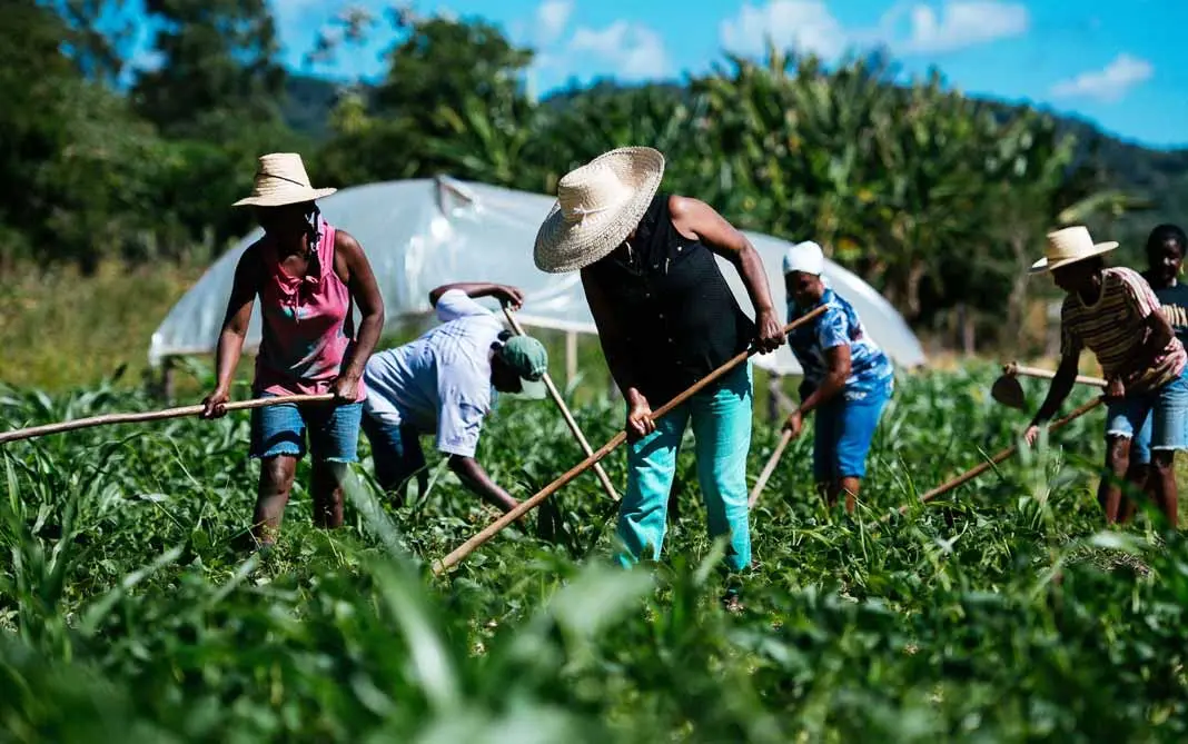 Esse cenário pode afetar diretamente o agro capixaba, causando prejuízos a lavouras, pastagens e atividades pecuárias.
