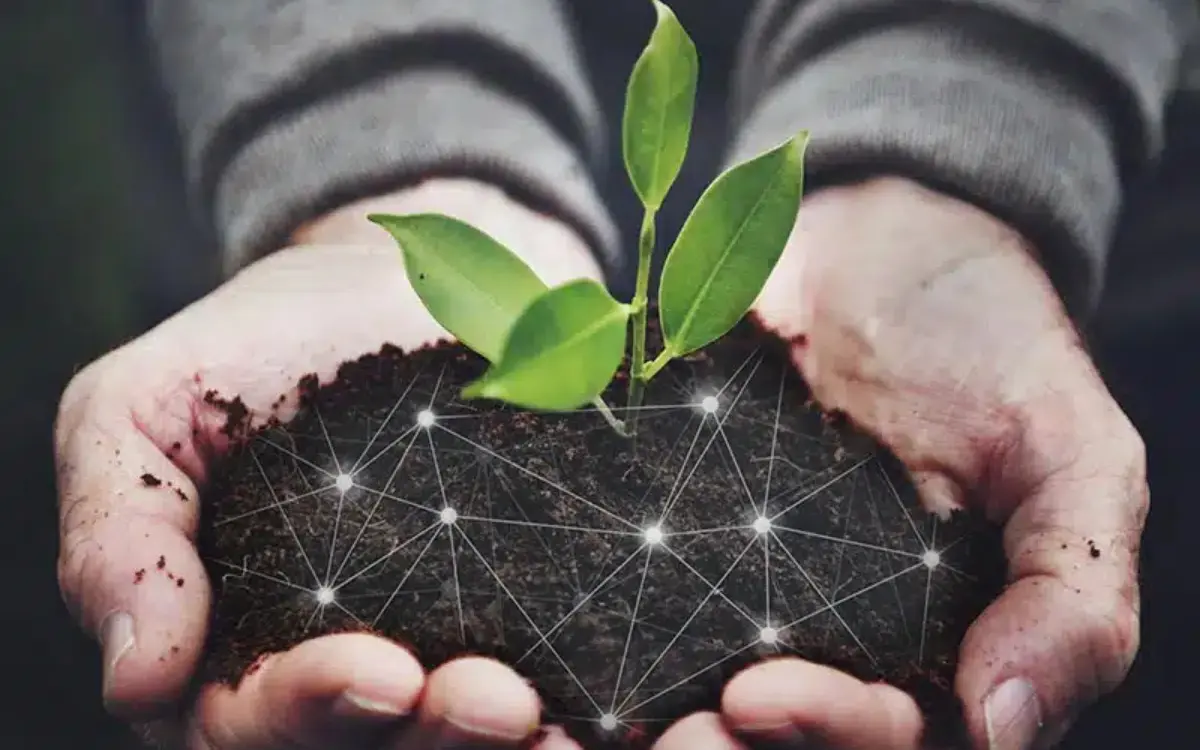 Edital Agro Inventores do Governo do Espírito Santo seleciona projetos agrícolas inovadores.