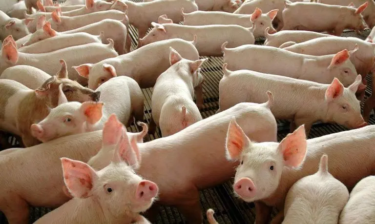O projeto encaminhado pelo Governo do Estado autoriza a utilização e a transferência de créditos acumulados de ICMS.
