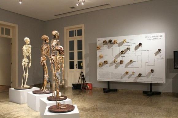 Museu de Ciências da Vida: descoberta e aprendizado na Ufes