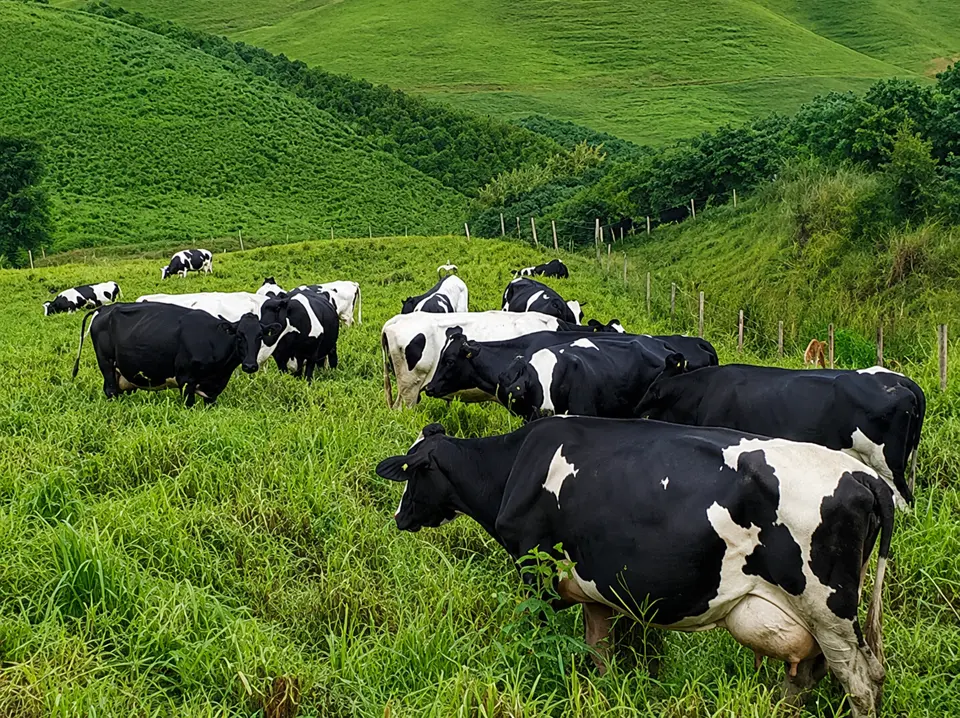 Capacitação reuniu extensionistas e técnicos para aplicação de metodologia que fortalece a sustentabilidade no campo capixaba.