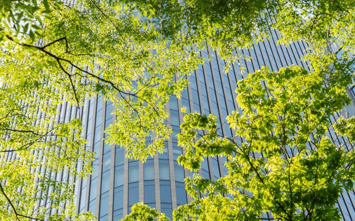 Estado do Espírito Santo avança em financiamento para projetos de economia verde.