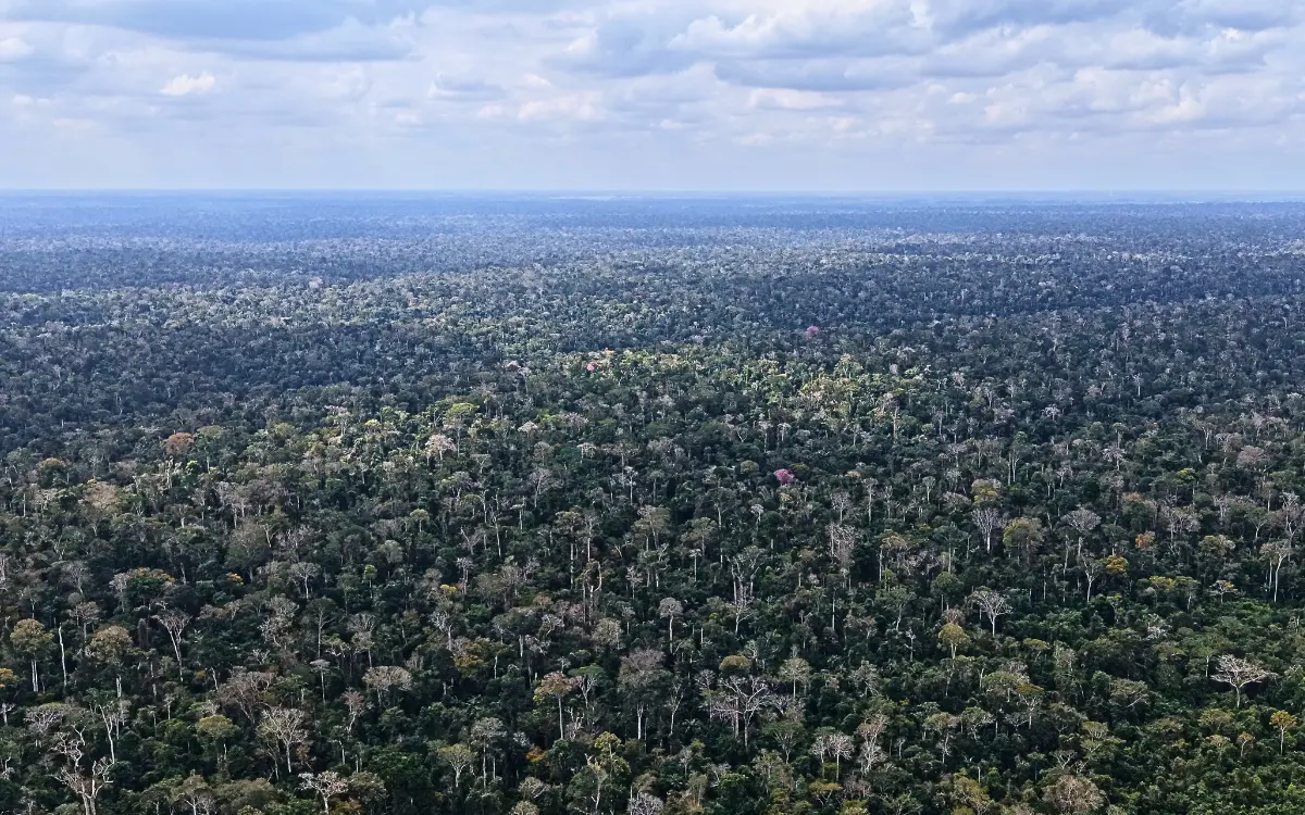 Espírito Santo investe em financiamento climático e infraestrutura contra mudanças climáticas.