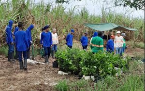 Cooperativismo promove a inclusão e muda a vida de comunidade quilombola no Norte do ES Cooperativismo promove a inclusão e muda a vida de comunidade quilombola no Norte do ES